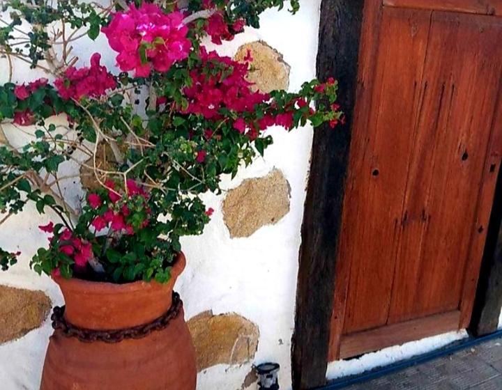Casa Rural Alessia With Jacuzzi ,Garden & Swimming Pool Santa Cruz de Tenerife Zewnętrze zdjęcie
